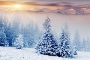 nature, Landscape, Winter, Snow, Mountain, Forest