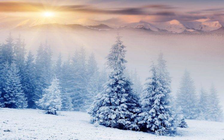 nature, Landscape, Winter, Snow, Mountain, Forest HD Wallpaper Desktop Background