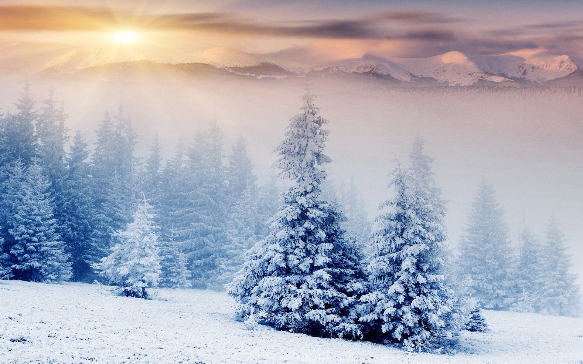 nature, Landscape, Winter, Snow, Mountain, Forest Wallpaper