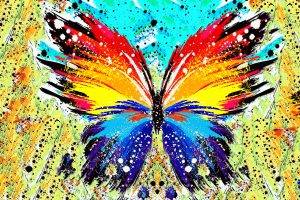 abstract, Paint Splatter, Butterfly
