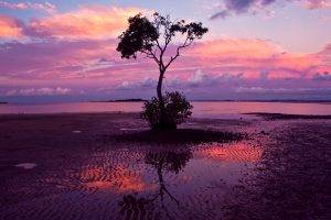 landscape, Nature, Sunset, Reflection, Trees, Water, Sand