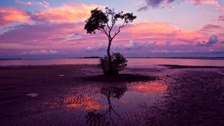 landscape, Nature, Sunset, Reflection, Trees, Water, Sand HD Wallpaper Desktop Background