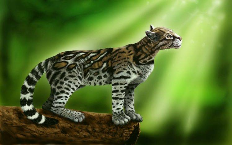 cat, Ocelots, Animals HD Wallpaper Desktop Background