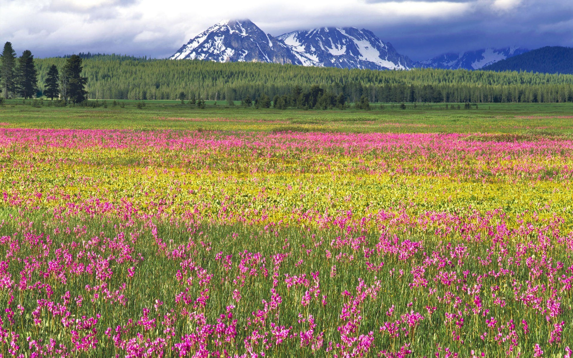 landscape Wallpaper