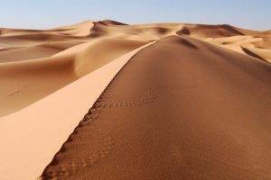desert, Dune, Nature, Landscape, Sand