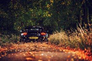 Porsche, Porsche 911, Leaves
