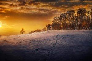 snow, Footprints, Landscape, Winter, Seasons, Trees, Sky