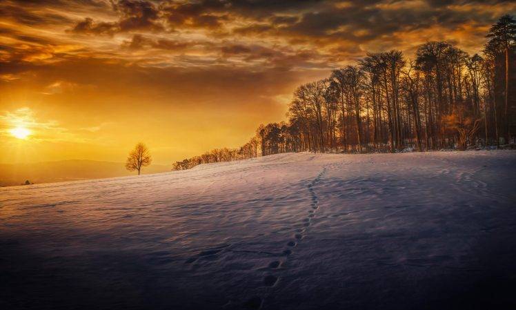 snow, Footprints, Landscape, Winter, Seasons, Trees, Sky HD Wallpaper Desktop Background