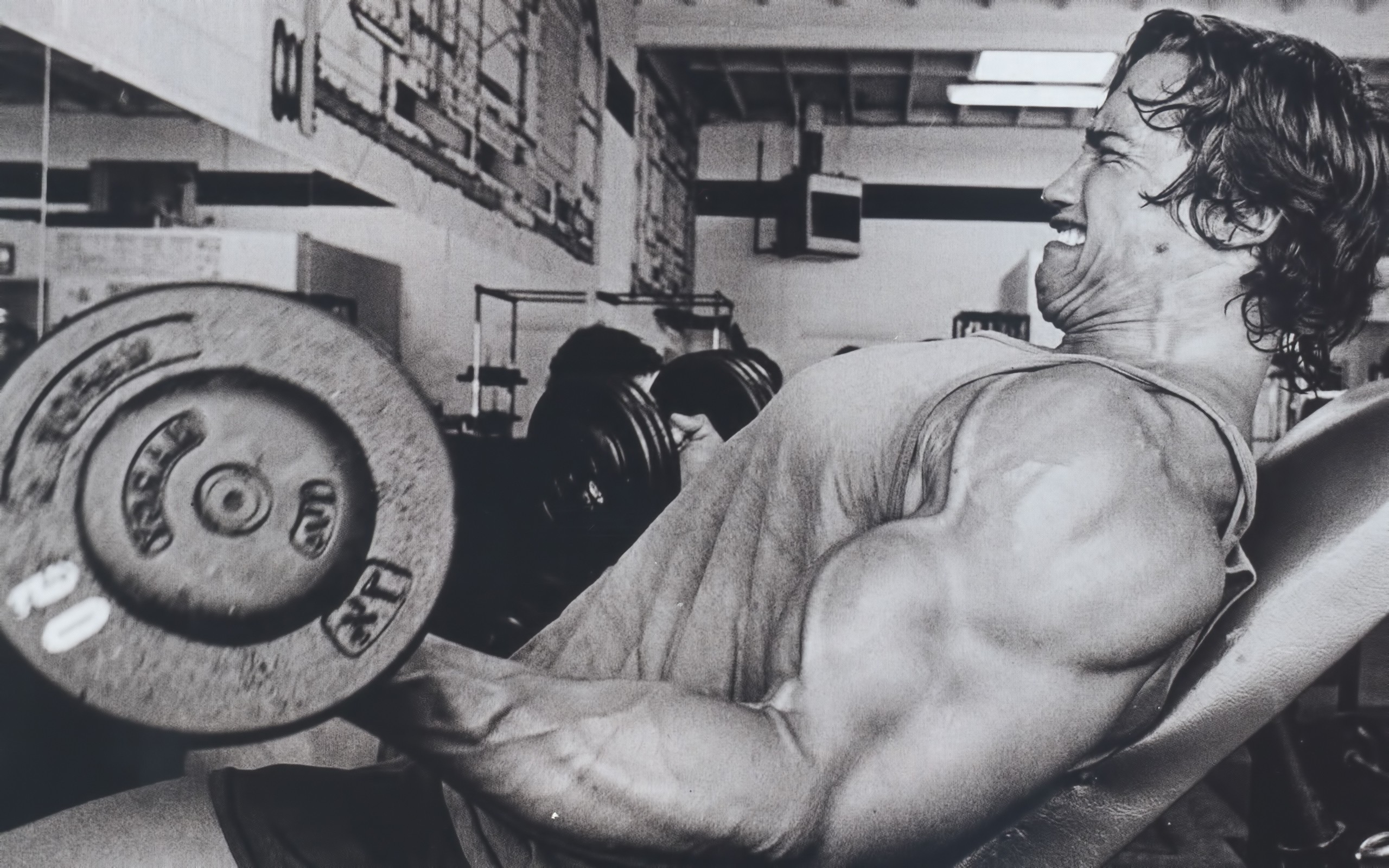 Arnold Schwarzenegger, Working Out Wallpaper