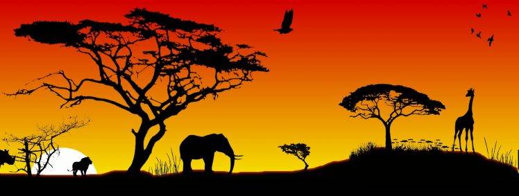 Africa, Animals HD Wallpaper Desktop Background