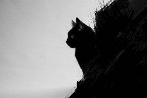 cat, Black Cats, Animals, Green Eyes, Artwork, Digital Art, Black, Gray