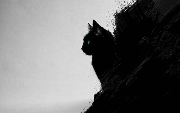 cat, Black Cats, Animals, Green Eyes, Artwork, Digital Art, Black, Gray HD Wallpaper Desktop Background