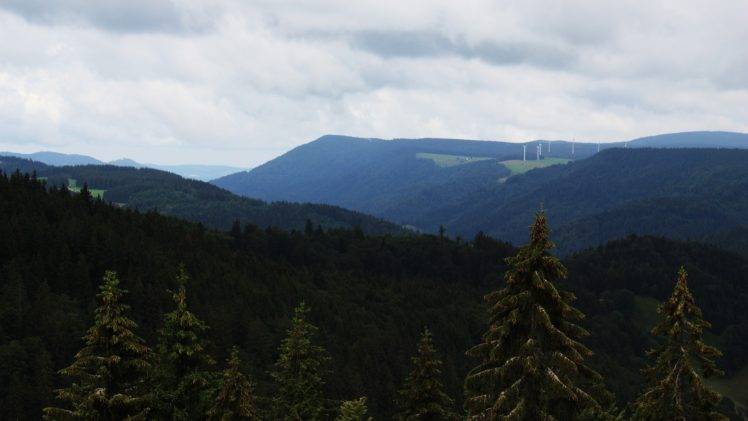 landscape, Forest, Mountain, Green HD Wallpaper Desktop Background