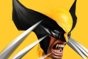 Wolverine, Comics