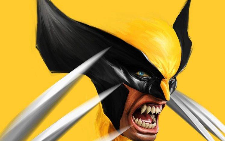 Wolverine, Comics HD Wallpaper Desktop Background