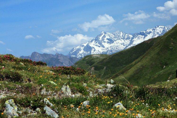 nature, Landscape, Mountain, Snow, Clouds, Italy, Grass, Flowers, Hill, Stones, Plants HD Wallpaper Desktop Background
