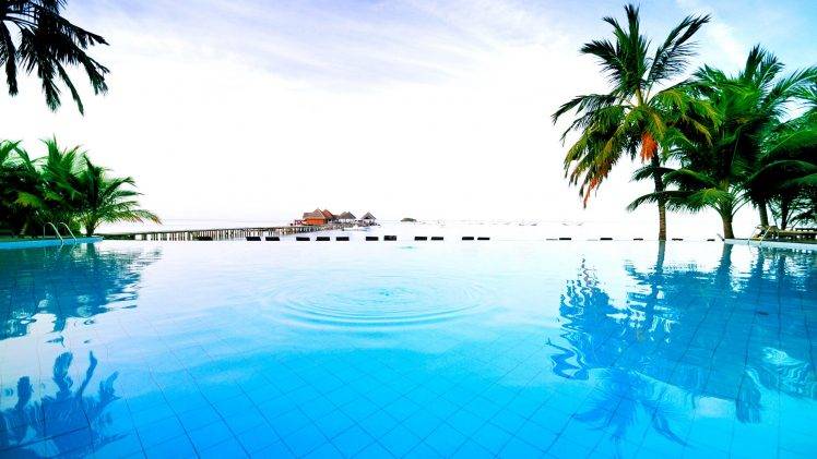 swimming Pool, Palm Trees, Water, Universe HD Wallpaper Desktop Background