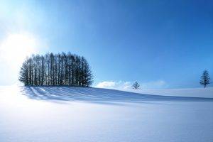 white, Blue, Trees, Snow, Landscape, Japan