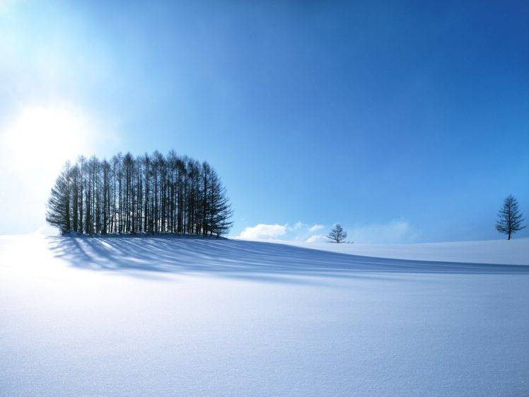 white, Blue, Trees, Snow, Landscape, Japan HD Wallpaper Desktop Background
