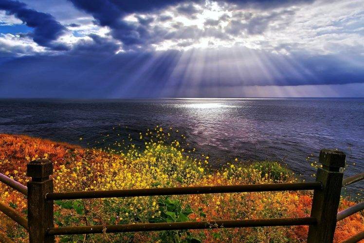 coast, Nature, Landscape, Wildflowers, Sun Rays, Sea, Fence, Clouds HD Wallpaper Desktop Background