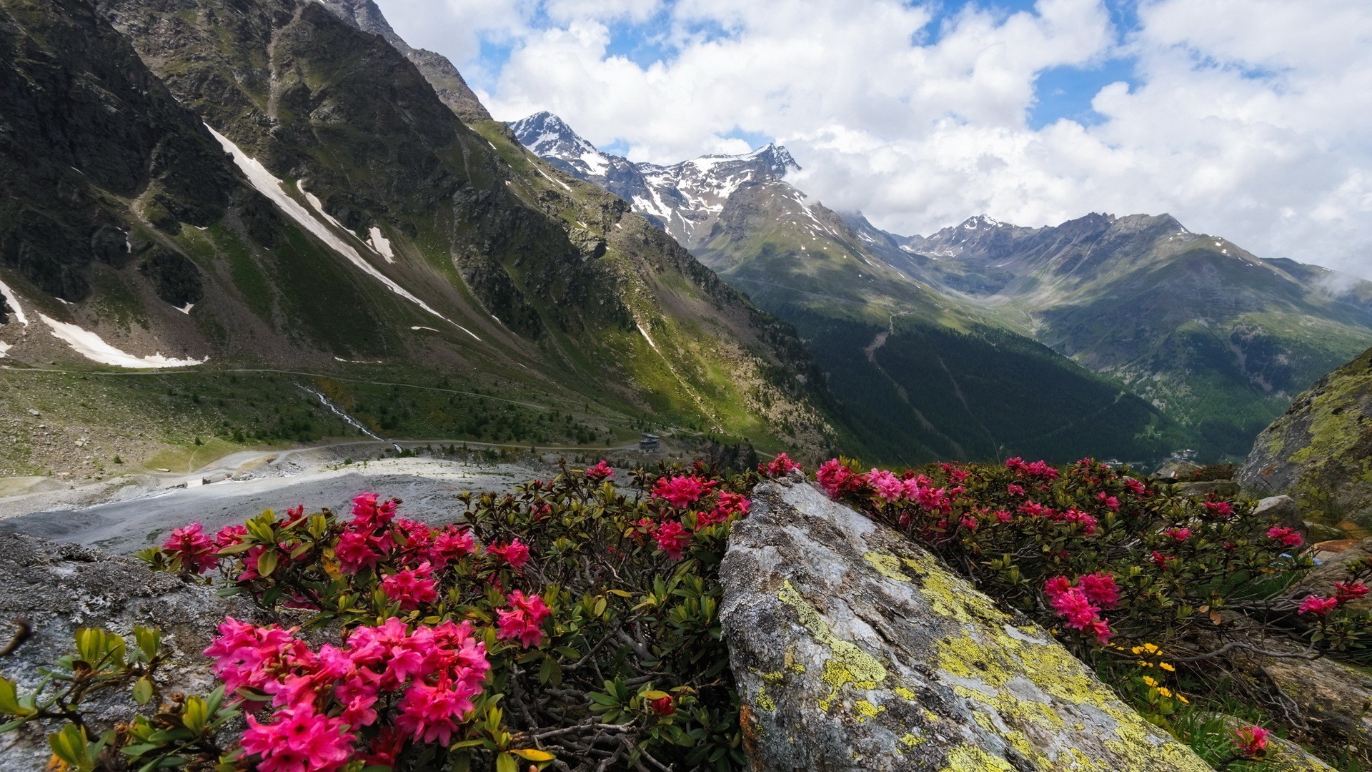 nature, Landscape, Hill, Trees, Clouds, Mountain, Snow, Rock, Flowers, Road, Forest, Moss Wallpaper