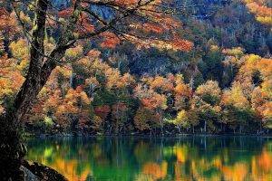 Chile, Lake, Trees, Fall, Mountain, Forest, Water, Nature, Landscape