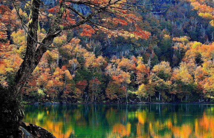 Chile, Lake, Trees, Fall, Mountain, Forest, Water, Nature, Landscape HD Wallpaper Desktop Background