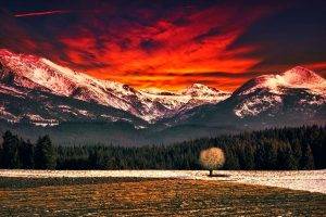 nature, Landscape, Mountain, Forest, Field, Snowy Peak, Red Sky, Clouds, Trees