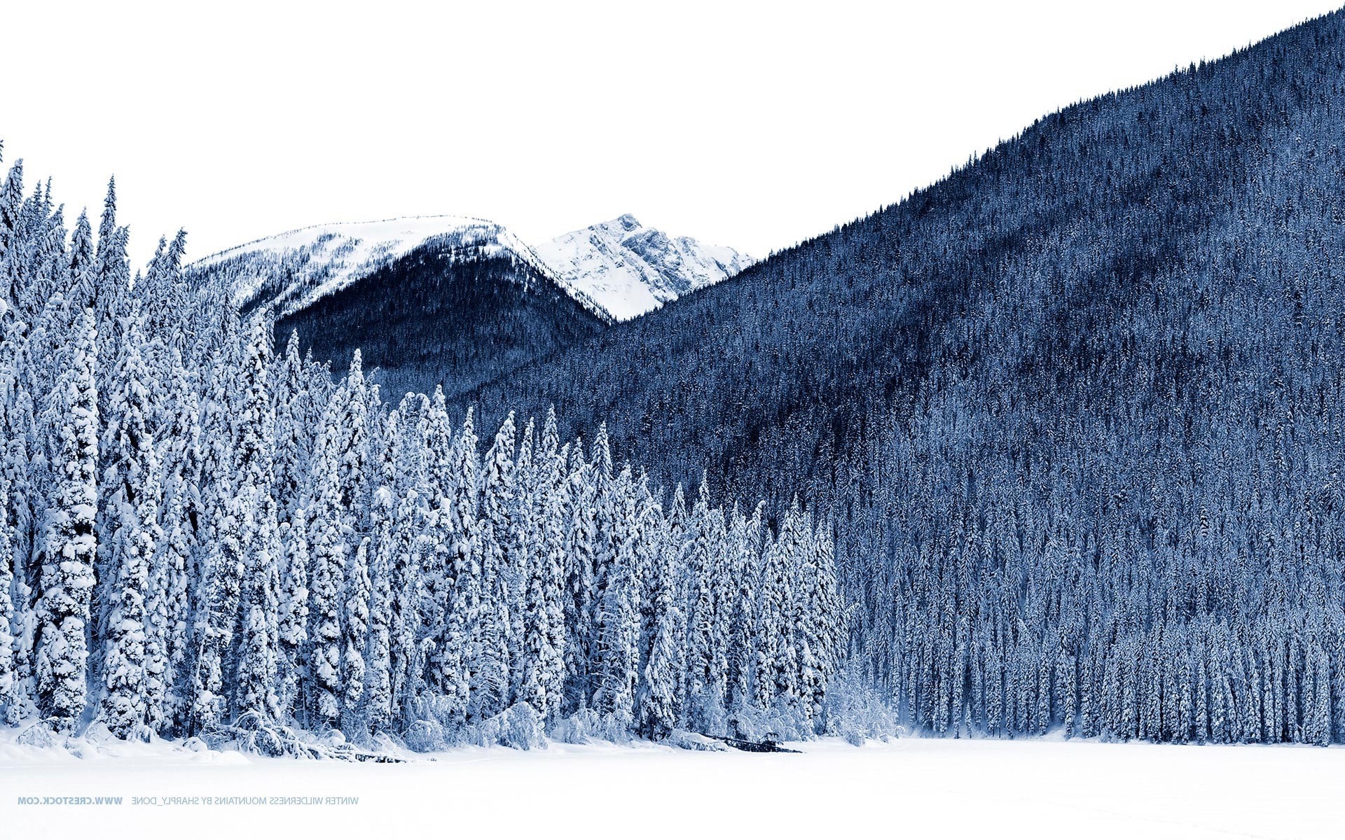nature, Landscape, Trees, Winter, Snow Wallpaper