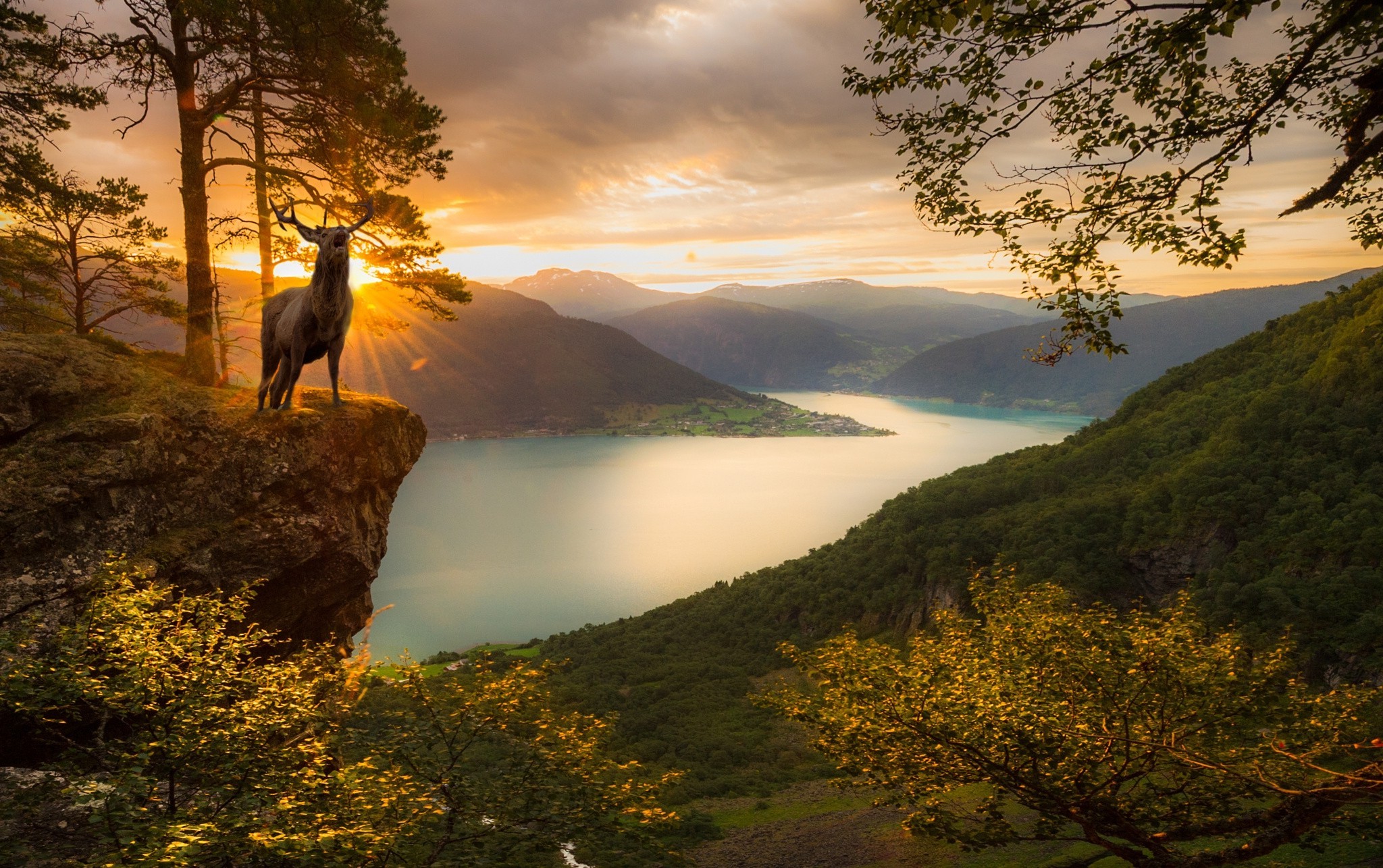 deer, Sunset, Fjord, Mountain, Trees, Norway, Forest, Nature, Landscape, Clouds Wallpaper