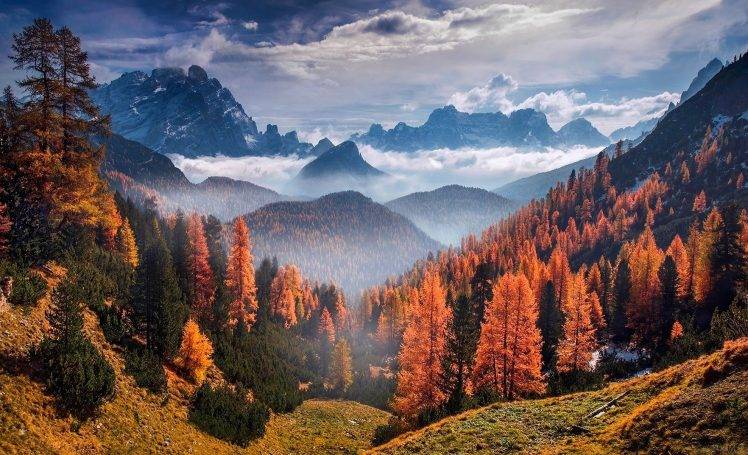 nature, Mountain, Clouds, Forest, Landscape, Grass, Mist HD Wallpaper Desktop Background