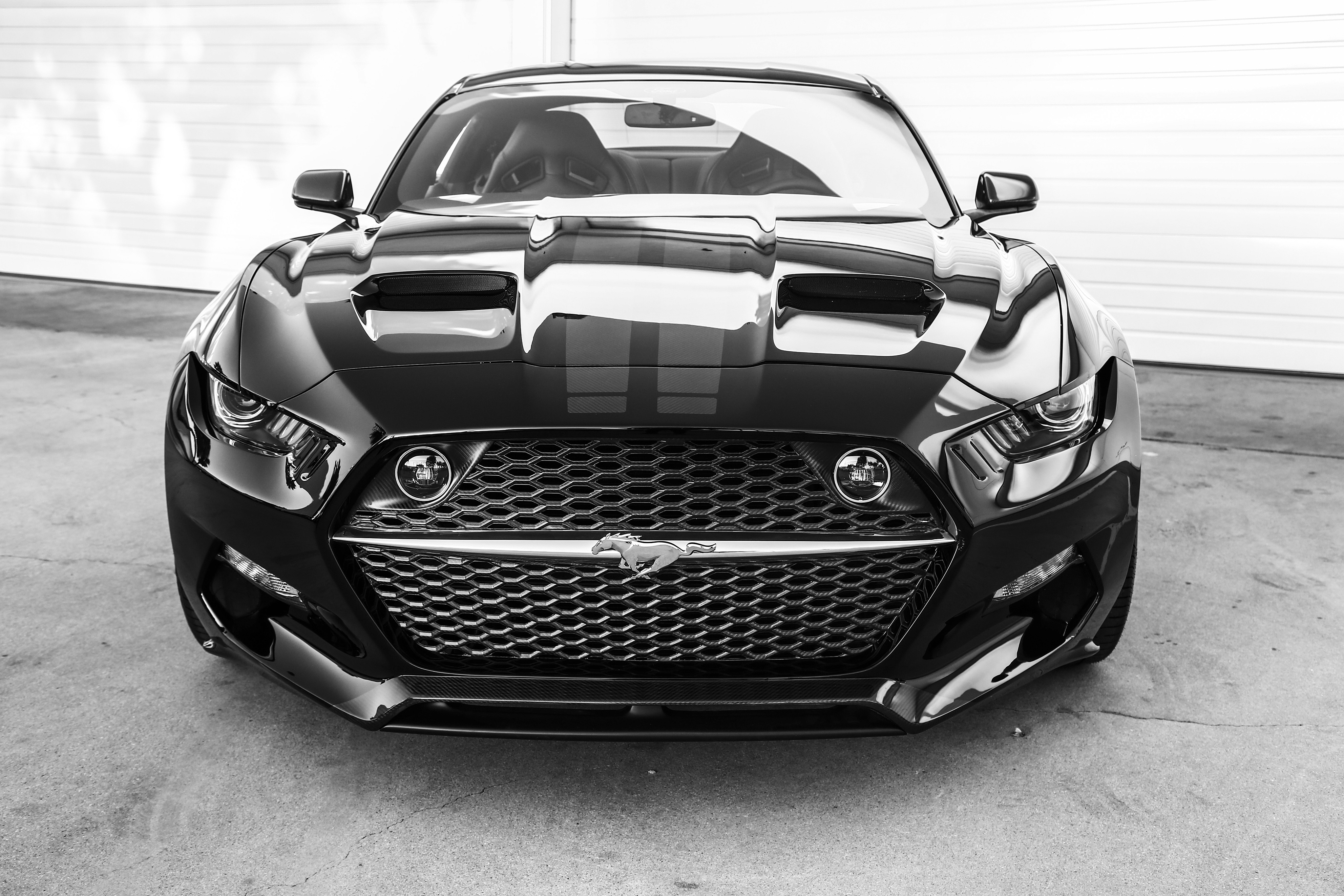 Ford, Ford Mustang, Muscle Cars, Ford Mustang GT Wallpaper