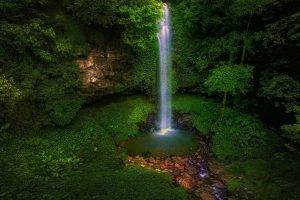 Australia, Waterfall, Forest, Green, Trees, Nature, Landscape