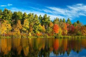 fall, Forest, River, Nature, Trees, Landscape, Water, Reflection