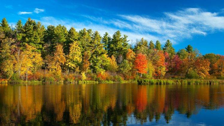 fall, Forest, River, Nature, Trees, Landscape, Water, Reflection HD Wallpaper Desktop Background