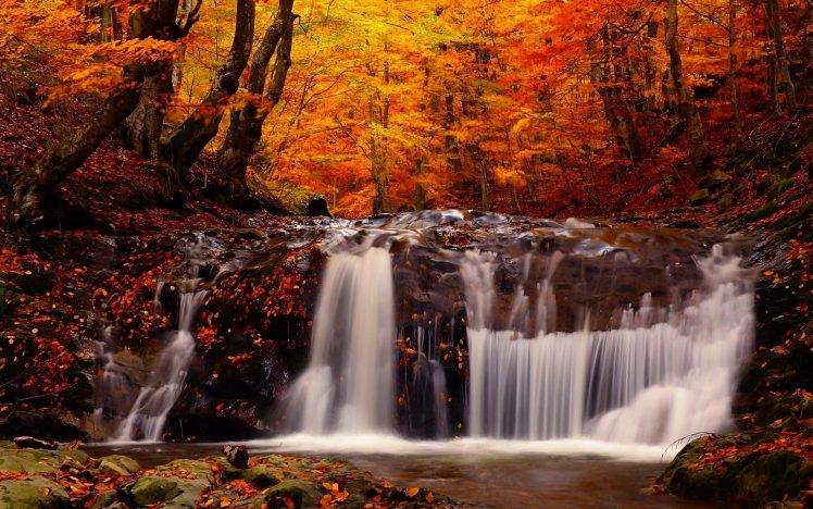 landscape, Fall, Forest, River, Waterfall, Trees HD Wallpaper Desktop Background