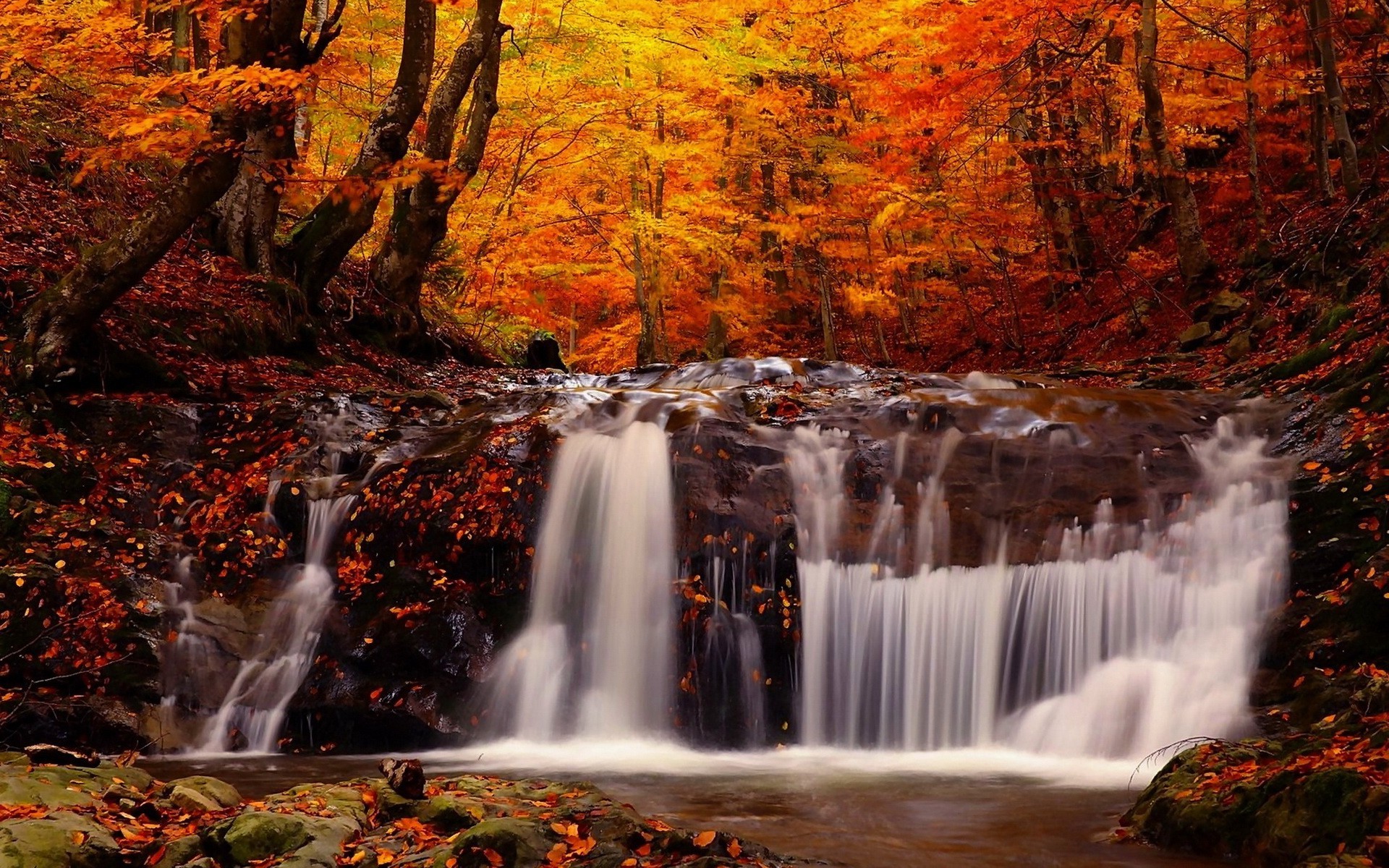landscape, Fall, Forest, River, Waterfall, Trees Wallpaper