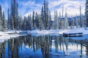 winter, Snow, Reflection, Forest, Water, River, White, Blue, Nature, Landscape