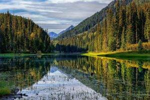 nature, Landscape, Trees, Forest, Wood, Branch, Leaves, Lake, Mountain, Clouds, Reflection