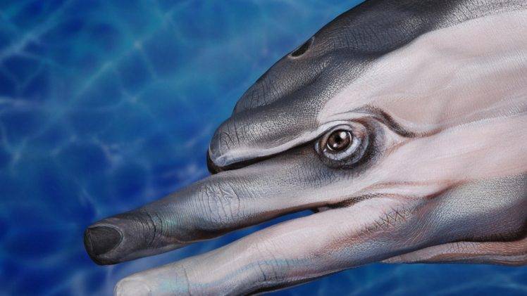 animals, Dolphin, Hand, Fingers, Body Paint, Eyes, Blue, Water HD Wallpaper Desktop Background