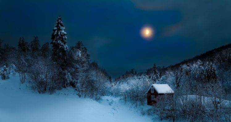 cottage, Forest, Hill, Mist, Nature, Moon, Winter, Landscape, Snow, Night HD Wallpaper Desktop Background