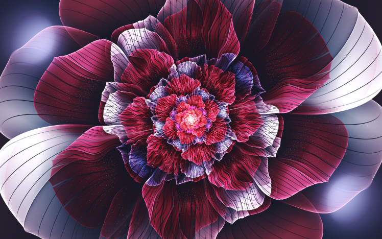 fractal, Abstract, Fractal Flowers, Flowers, Symmetry, Petals, Digital Art HD Wallpaper Desktop Background