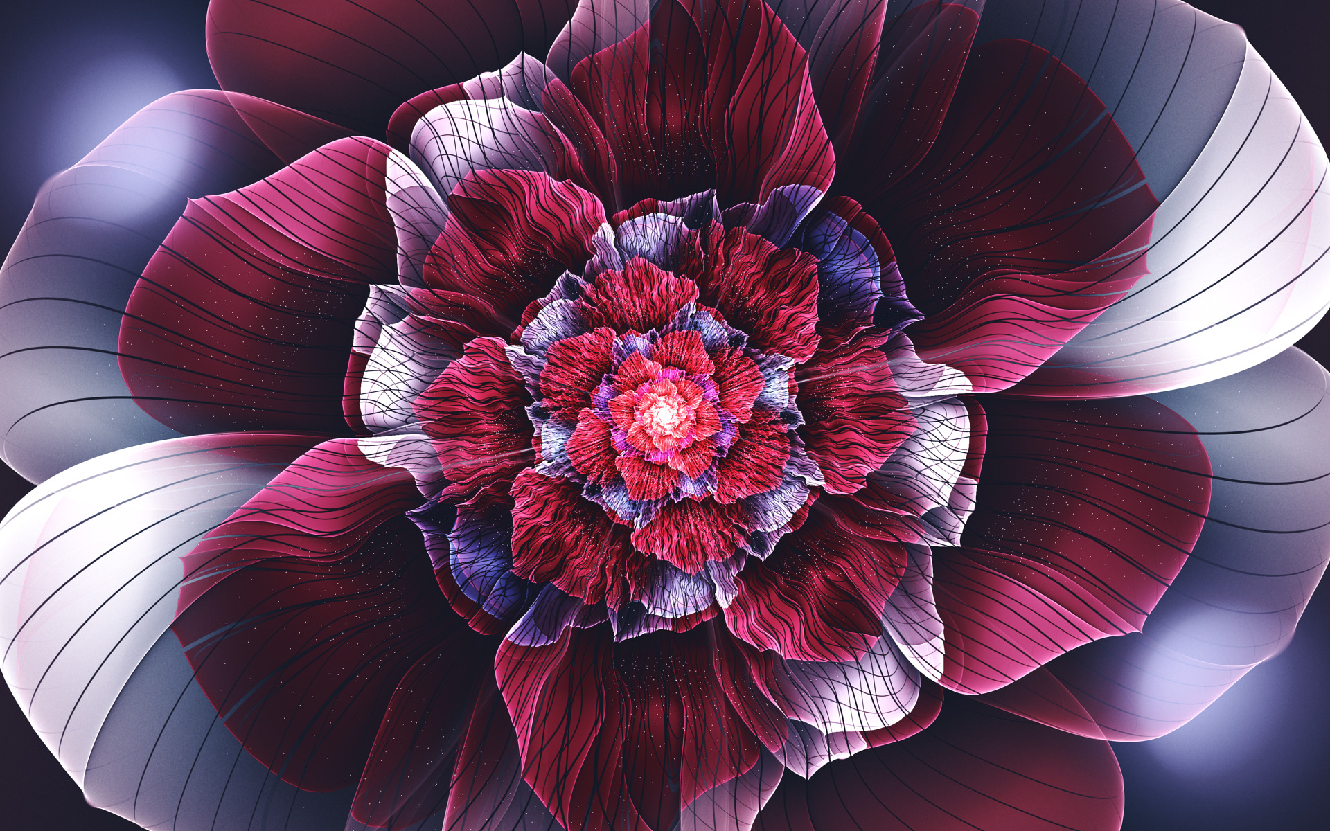 fractal, Abstract, Fractal Flowers, Flowers, Symmetry, Petals, Digital Art Wallpaper
