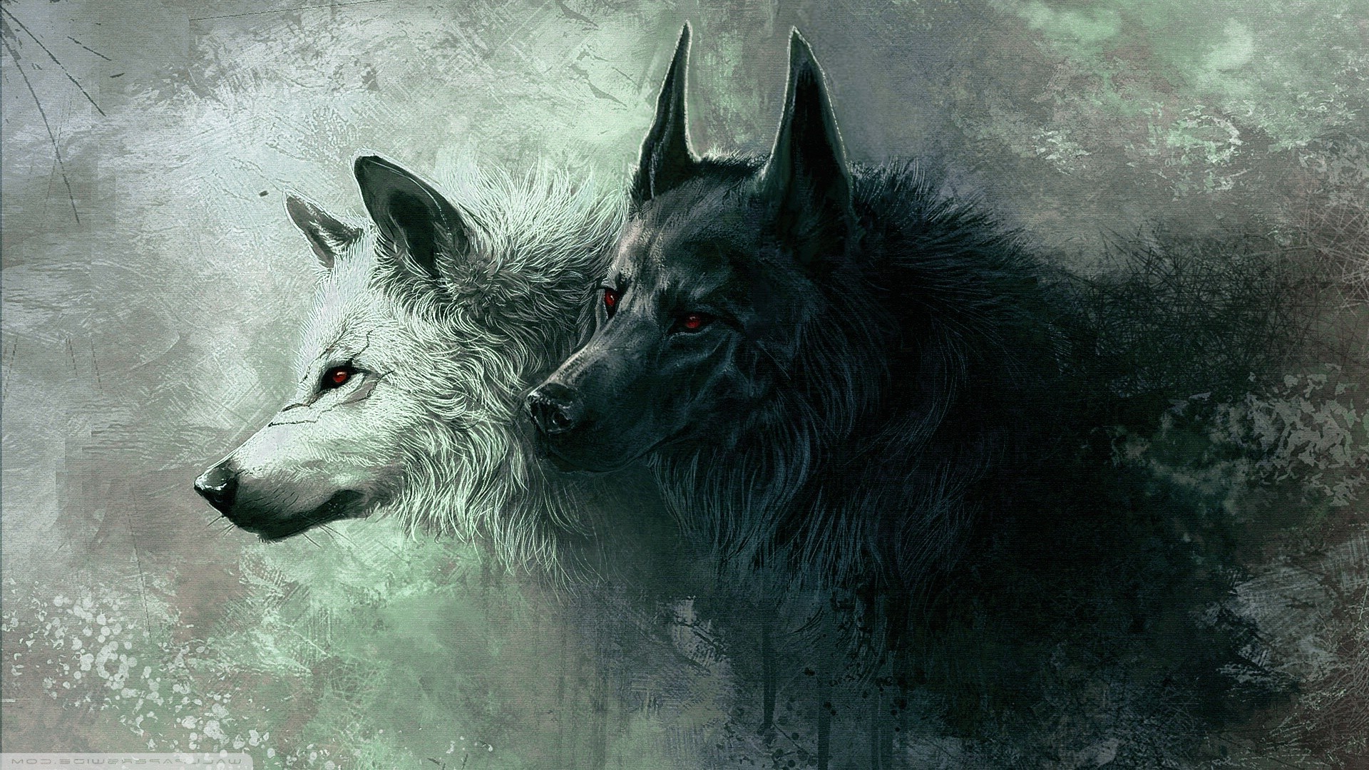 wolf, Animals Wallpaper