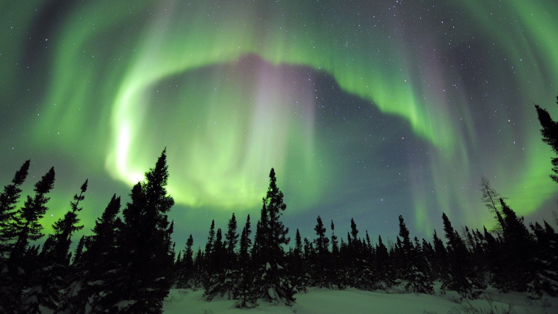 nature, Landscape, Aurorae, Trees, Norway Wallpaper