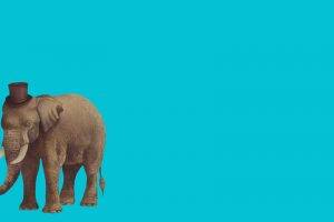 elephants, Minimalism, Animals