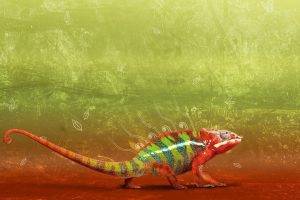 nature, Animals, Reptile, Chameleons, Colorful