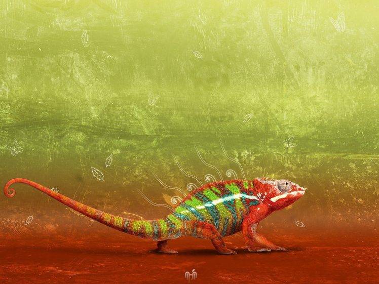 nature, Animals, Reptile, Chameleons, Colorful HD Wallpaper Desktop Background