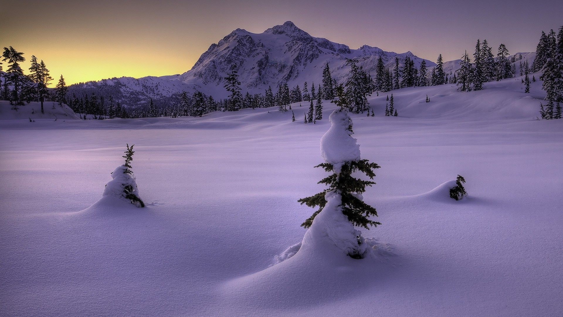 landscape, Snow, Winter, Trees, Mountain Wallpaper