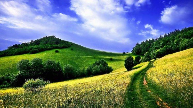 landscape, Field, Nature, Summer, Trees, Path HD Wallpaper Desktop Background